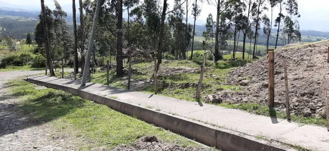 Terreno en Venta 3.9 Ha El Inga - Pifo - Pichincha — imagen 4