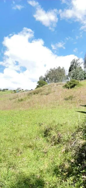 Terreno en Venta 3.9 Ha El Inga - Pifo - Pichincha — imagen 2