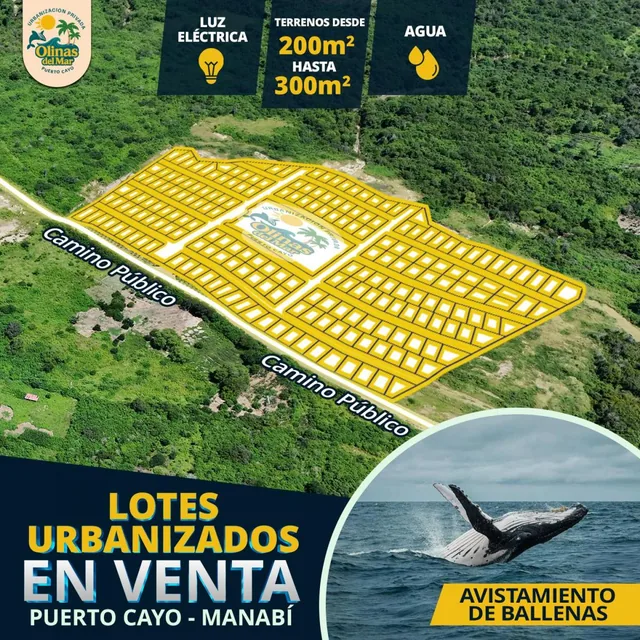 Lotes, Terrenos Propiedad Desde $9,200 en Puerto Cayo Cerca Al Mar — imagen 3