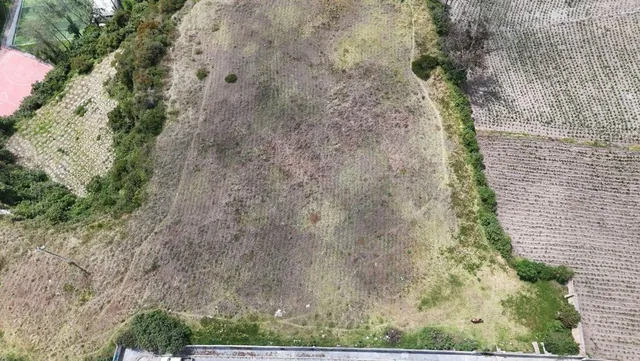 Oportunidad Venta de Macrolote Centro de Calacali — imagen 5