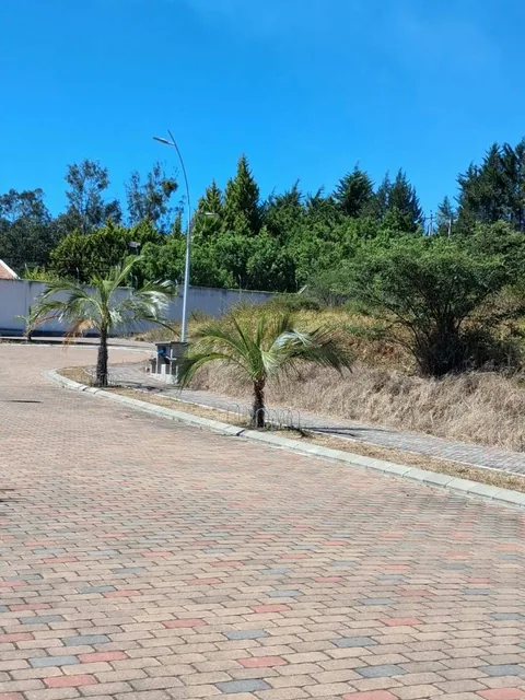 Hermosos Lotes de Venta, Urbanizacion Cerrada — imagen 4