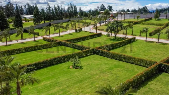 Terreno 545 m² Dentro de Urbanización. Sector Puembo — imagen 5