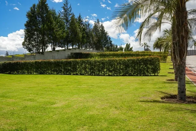 Terreno 545 m² Dentro de Urbanización. Sector Puembo — imagen 3