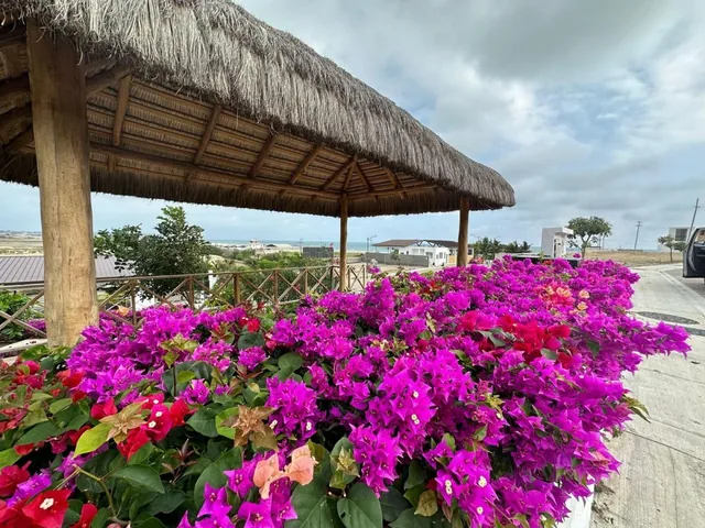 Terrenos en Venta – Urbanización Vistalmar Punta Carnero — imagen 3