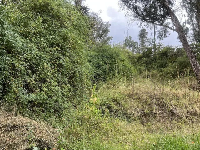 Tumbaco Terreno de Venta Via Intervalles — imagen 3