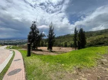 Terreno Premium en Exclusiva Urbanización de Tumbaco | Privacidad y Entorno Único | Makea Alta — imagen 5