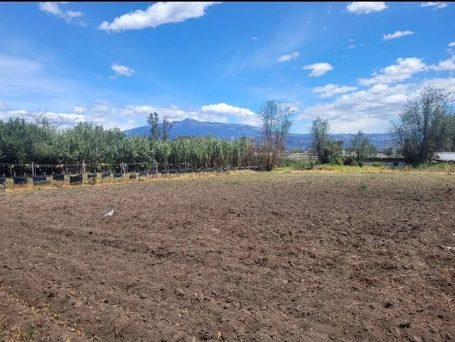 Terreno Plano de 6800 m² en Venta en Tababela — imagen 5