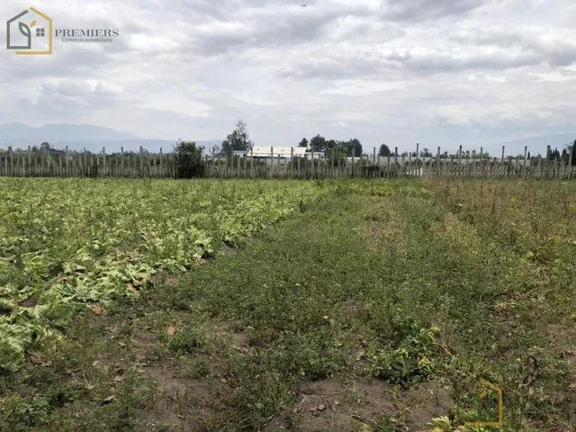 Lindo Terreno en La Poblacion de Tababela — imagen 5