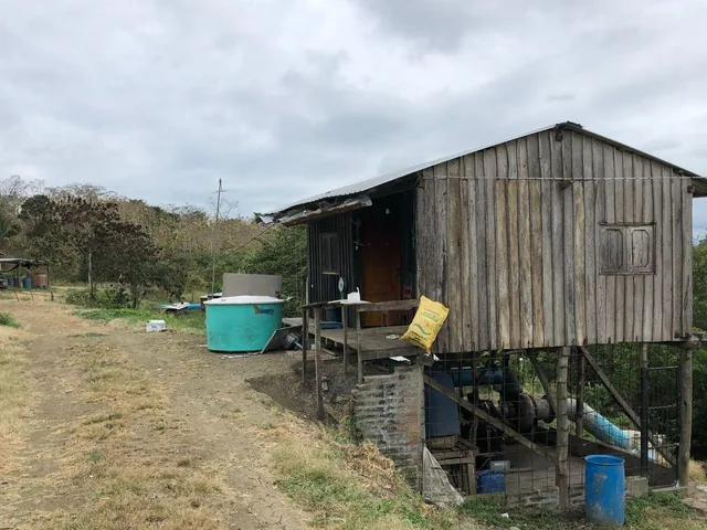 Venta Terreno con Área Para Producción Ganadera, Agricola y Camaronera – Cojimies, Manabí — imagen 3