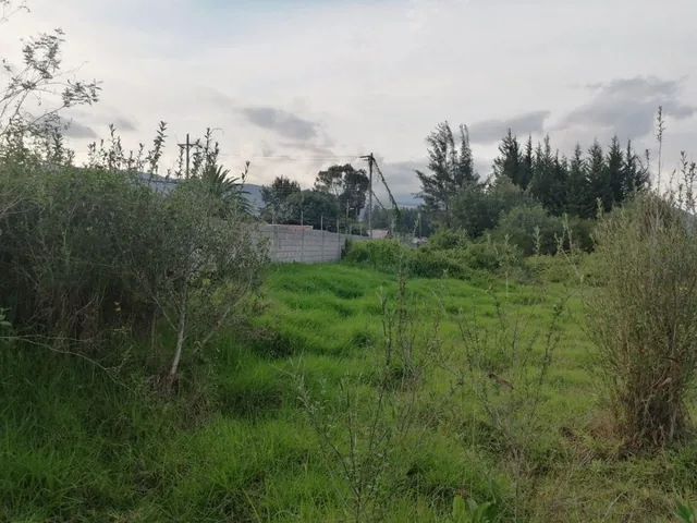 Vendo Terreno Plano de Oportunidad Para Proyecto Inmobiliario, Colegio, Asilo — imagen 4