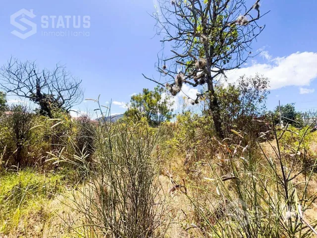 Venta de Terreno Independiente en La Armenia I Junto Al Liceo Naval — imagen 5