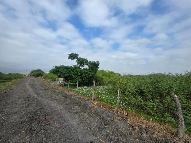 Vendo Propiedad Al Pie de La Via, via Duran Tambo, Km. 12, a Pocos m del Peaje, Guayas — imagen 4