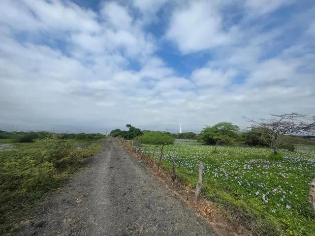 Vendo Propiedad Al Pie de La Via, via Duran Tambo, Km. 12, a Pocos m del Peaje, Guayas — imagen 3