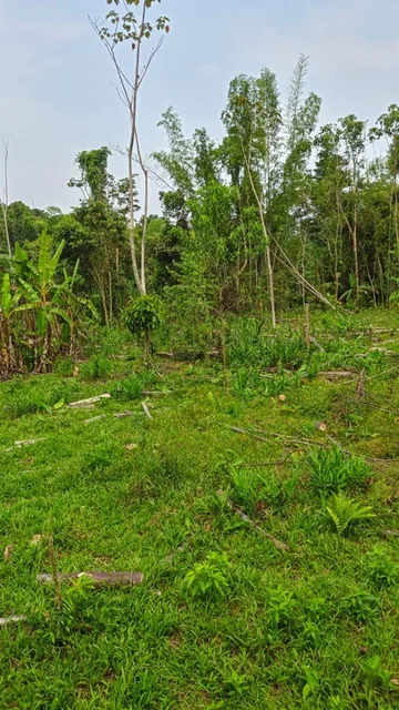 Terreno en Venta, Caserío El Porvenir, Puyo, Pastaza — imagen 2