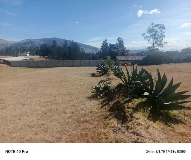 Venta Terreno La Merced 2.011 m² — imagen 4
