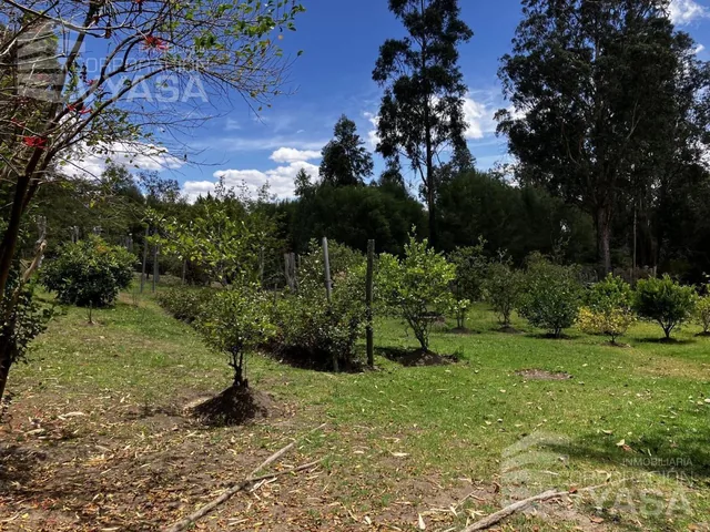 Tumbaco - La Cerámica, Excelente Terreno de 2.000 m² en Venta — imagen 4