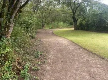 Vendo Lote de Terreno en Tumbaco Urbanización de Lujo — imagen 3
