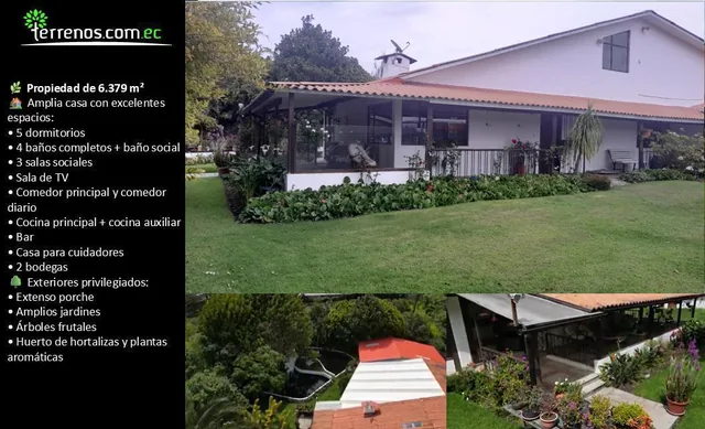 Terreno en Yaruqui 6379 m² (Terreno Plano, Casa en Perfecto Estado) — imagen 3