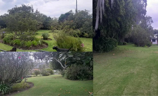 Terreno en Yaruqui 6379 m² (Terreno Plano, Casa en Perfecto Estado) — imagen 2