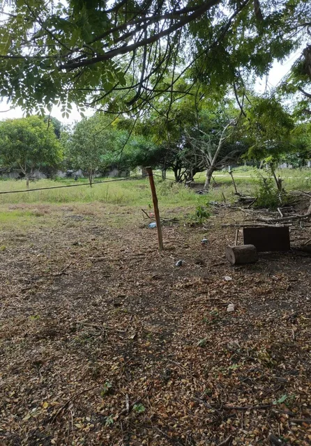 Inversión Estratégica en Tonsupa | Terreno 1.500 m² — imagen 4