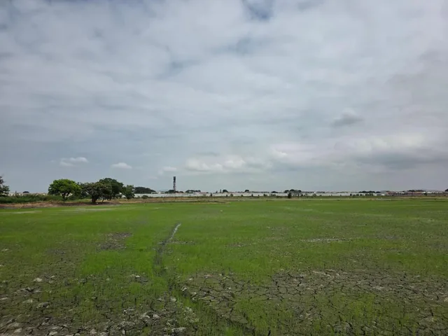 Vendo Terreno Ideal Para Urbanización, El Nuevo Samborondon, La Barranca, Atras de La Peninsula Cc, Guayas — imagen 5