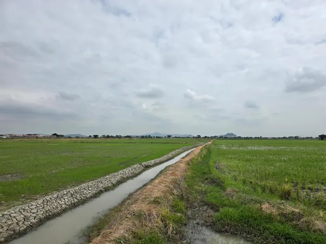 Vendo Terreno Ideal Para Urbanización, El Nuevo Samborondon, La Barranca, Atras de La Peninsula Cc, Guayas — imagen 3