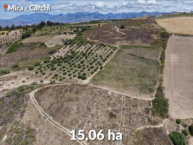 Se Vende Predio de 15 Hectáreas, Mira, Provincia del Carchi, Carchi — imagen 4