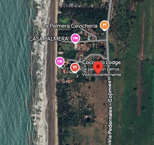 Terreno en Venta de 434 m² en Cojimíes - Pedernales Cerca a La Playa. Manabí — imagen 5