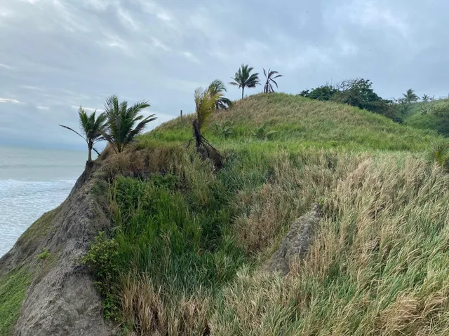 Venta Terreno Cultivo - Hotel Pedernales - Cojimies (Ecuador) 6300 m² Oportunidad, Manabí — imagen 5