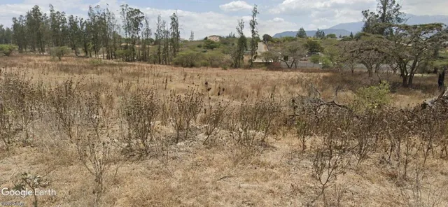Venta Terrenos Puembo Sector Napoles — imagen 5