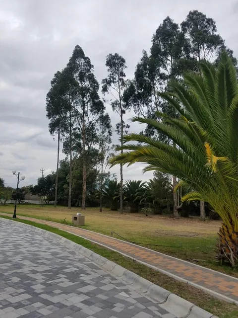 Mv - Sector Puembo, en Venta Hermoso Terreno 1278 m², en Urbanizacion — imagen 4