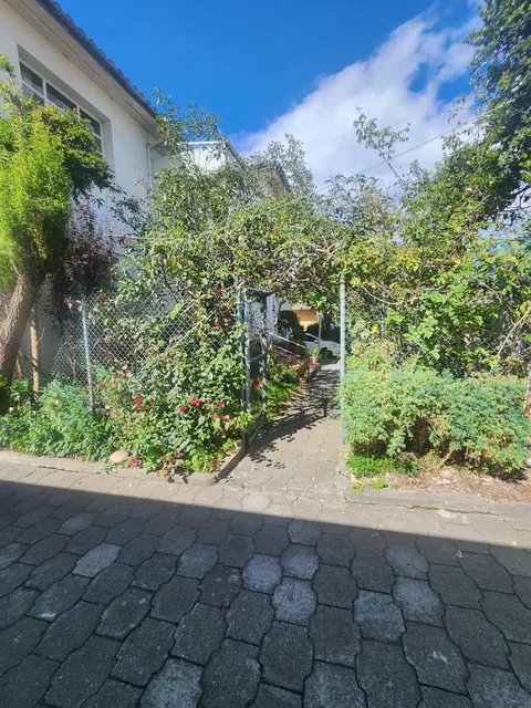 Terreno en Centro Norte — imagen 4
