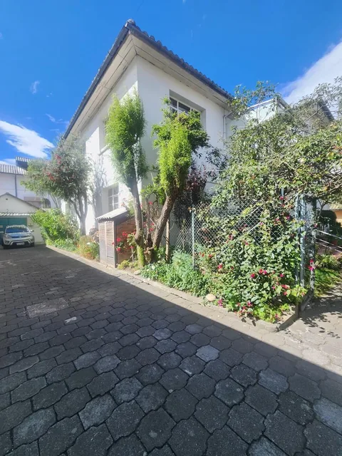 Terreno en Centro Norte — imagen 3