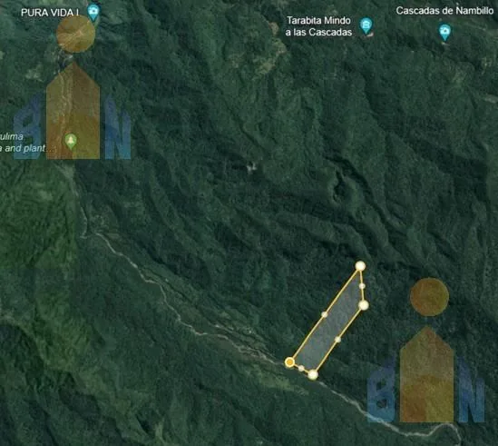 Terreno en Veta en Mindo a 14 Km del Centro — imagen 2