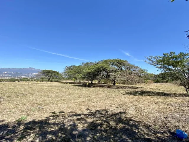 Vendo 3 Últimos Terrenos Desde 1.000 m² a $160 C/m² en Puembo (Ubicación Privilegiada) — imagen 5