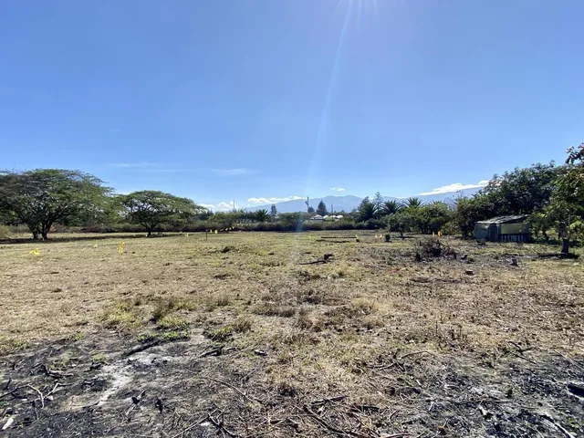 Vendo 3 Últimos Terrenos Desde 1.000 m² a $160 C/m² en Puembo (Ubicación Privilegiada) — imagen 3