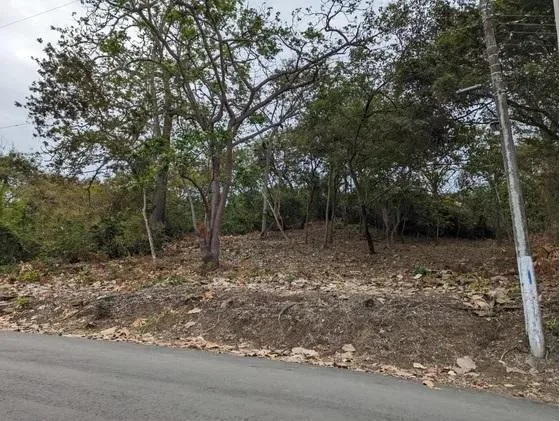 Se Vende Terreno en Lago de Capeira Joss, Guayas — imagen 3