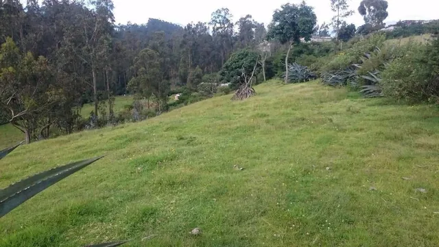 Venta Terreno Alangasí Urb. La Floresta 5 Km del Parque o 6.5 Km Colibrí - Pifo — imagen 4