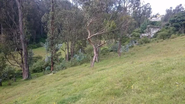 Venta Terreno Alangasí Urb. La Floresta 5 Km del Parque o 6.5 Km Colibrí - Pifo — imagen 2