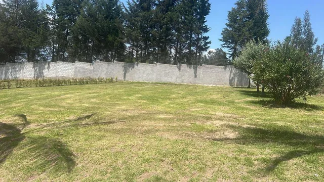 Terreno en Puembo — imagen 2