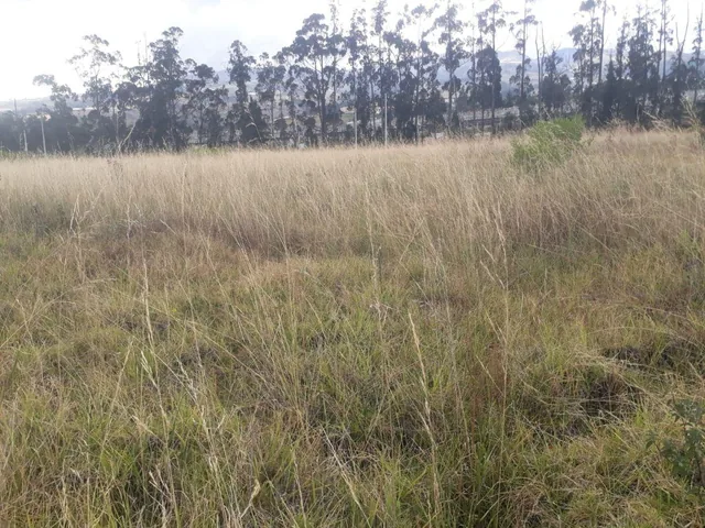 Venta Terreno Solanda, San Bartolo 2'000.000 — imagen 3
