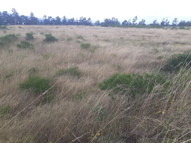 Venta Terreno Solanda, San Bartolo 2'000.000 — imagen 2