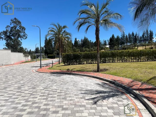 Terreno de Venta en Urb. Palmas del Prado, Puembo, Cerca Colegio Americano — imagen 5