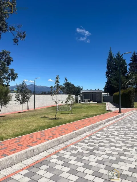 Terreno de Venta en Urb. Palmas del Prado, Puembo, Cerca Colegio Americano — imagen 4