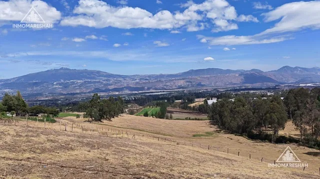 Terreno de 25 Has en Venta en Checa a 5 Minutos de La E35 — imagen 5