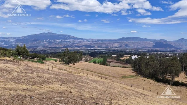 Terreno de 25 Has en Venta en Checa a 5 Minutos de La E35 — imagen 3