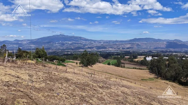 Terreno de 25 Has en Venta en Checa a 5 Minutos de La E35 — imagen 2