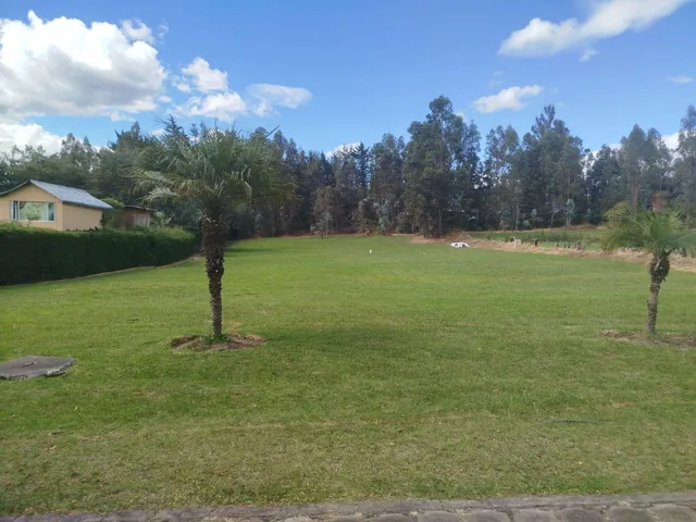 Vendo Terreno Plano Inversión Oportunidad Proyectos Tumbaco La Morita — imagen 5