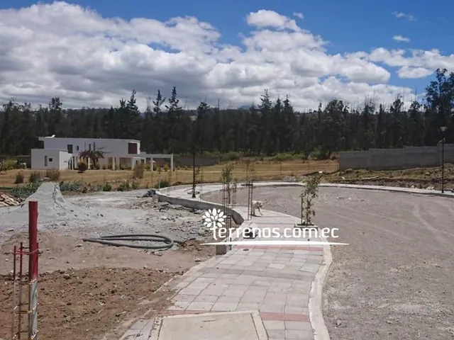 Terreno de Venta Llano Chico 2.299 m² Urb Bosques y Prados Antigua Hcda. San Jose — imagen 3