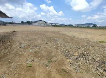 Alquiler Terreno Industrial 10.000 m Cuadrados Via a Daule, Guayas — imagen 5